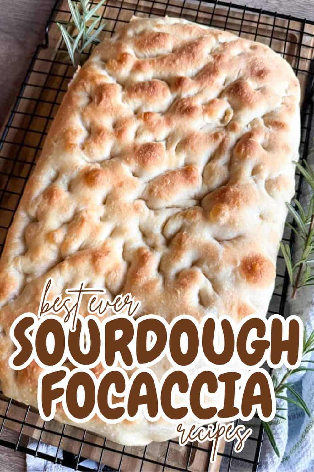 Freshly baked sourdough focaccia bread with a golden crust.
