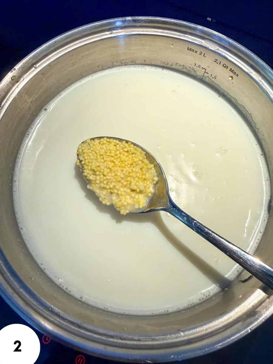 Close-up of a spoonful of millet in a creamy fermentation mixture.