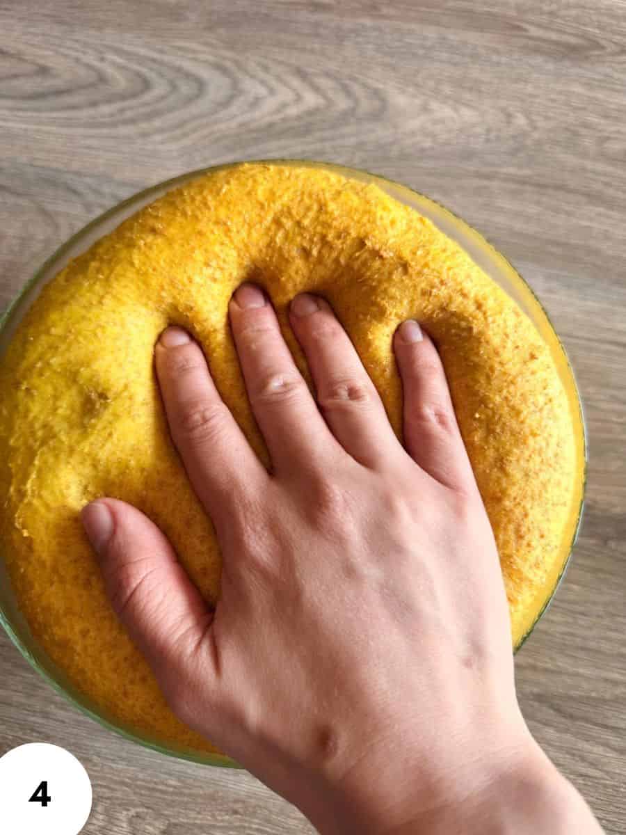 Hand pressing dough during stretch and fold process for bread making.