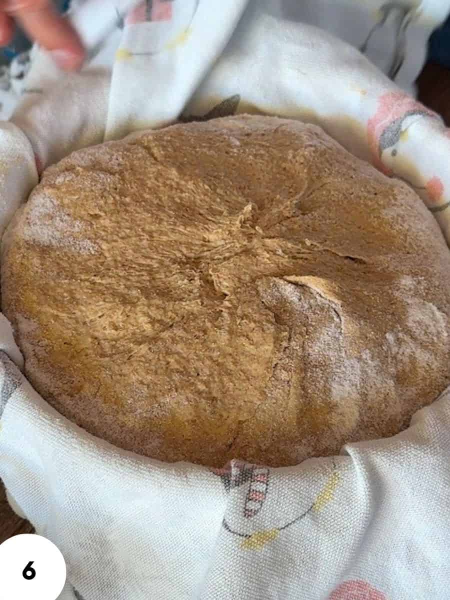 Close-up of bread dough ready for shaping and baking.