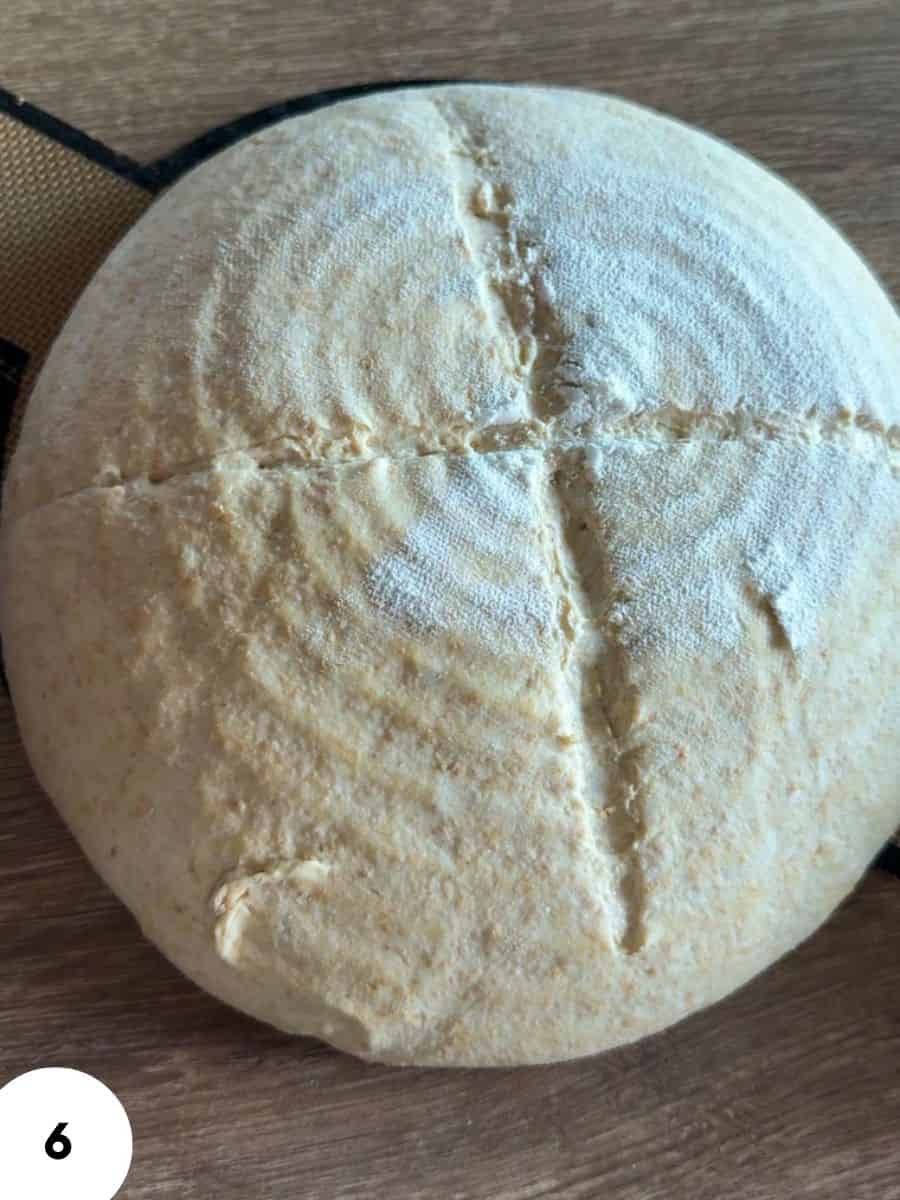 Freshly prepared bread dough for stretch and fold technique.