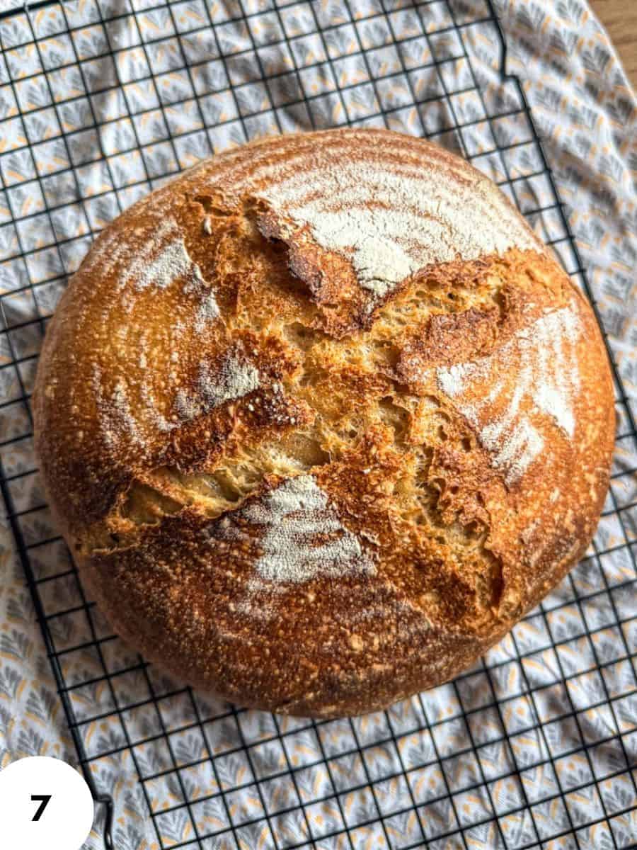 Freshly baked sourdough bread on cooling rack with a rustic crust.