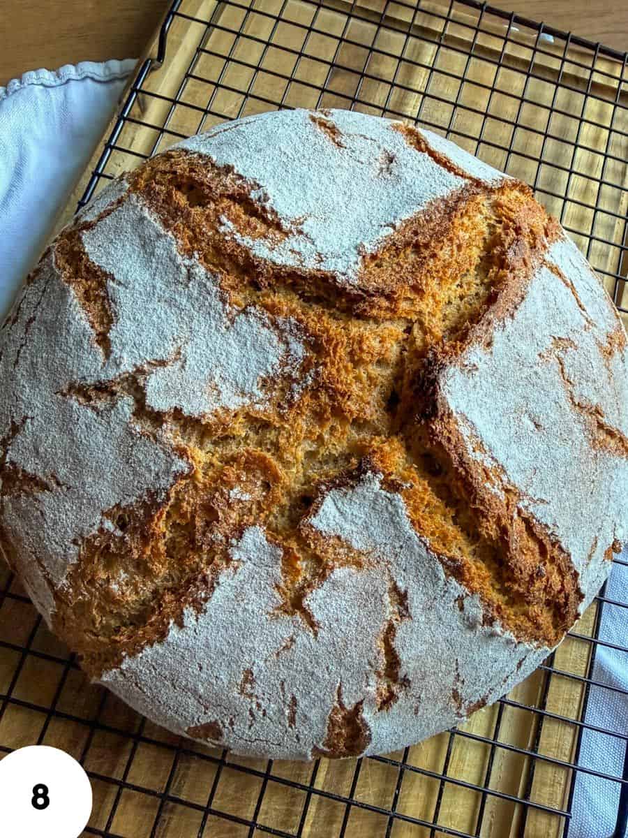 Freshly baked artisan bread showing crust and texture from stretch and fold process.