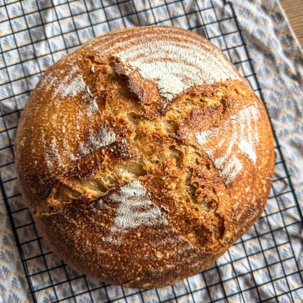 Freshly baked sourdough bread with a golden crust and scoring marks.