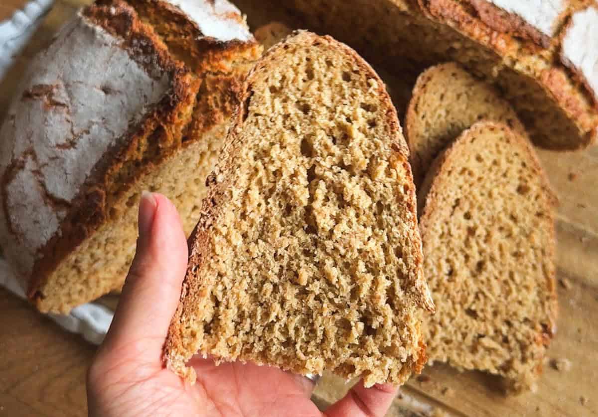 Close-up of a hand holding a slice of whole wheat bread.