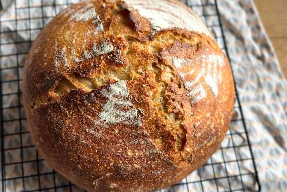 Freshly baked artisan bread showing crust and texture, made with stretch and fold method.