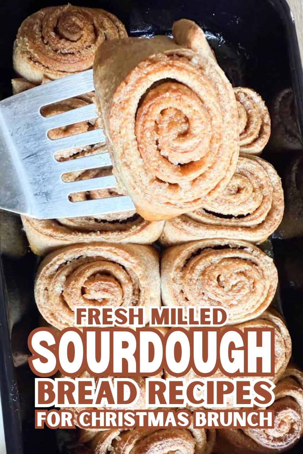 Freshly baked sourdough bread rolls with a spiral shape, stacked in a baking tray.