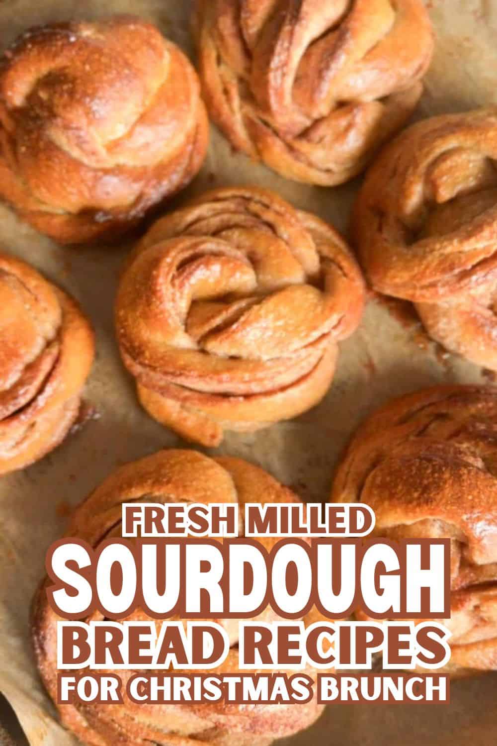 Close-up of freshly baked sourdough bread rolls for Christmas brunch.