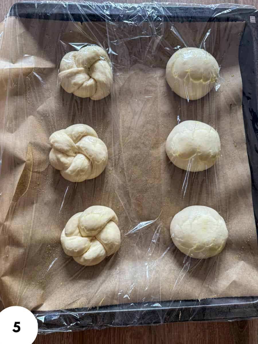 Dough buns shaped using stretch and fold technique on parchment-lined tray.