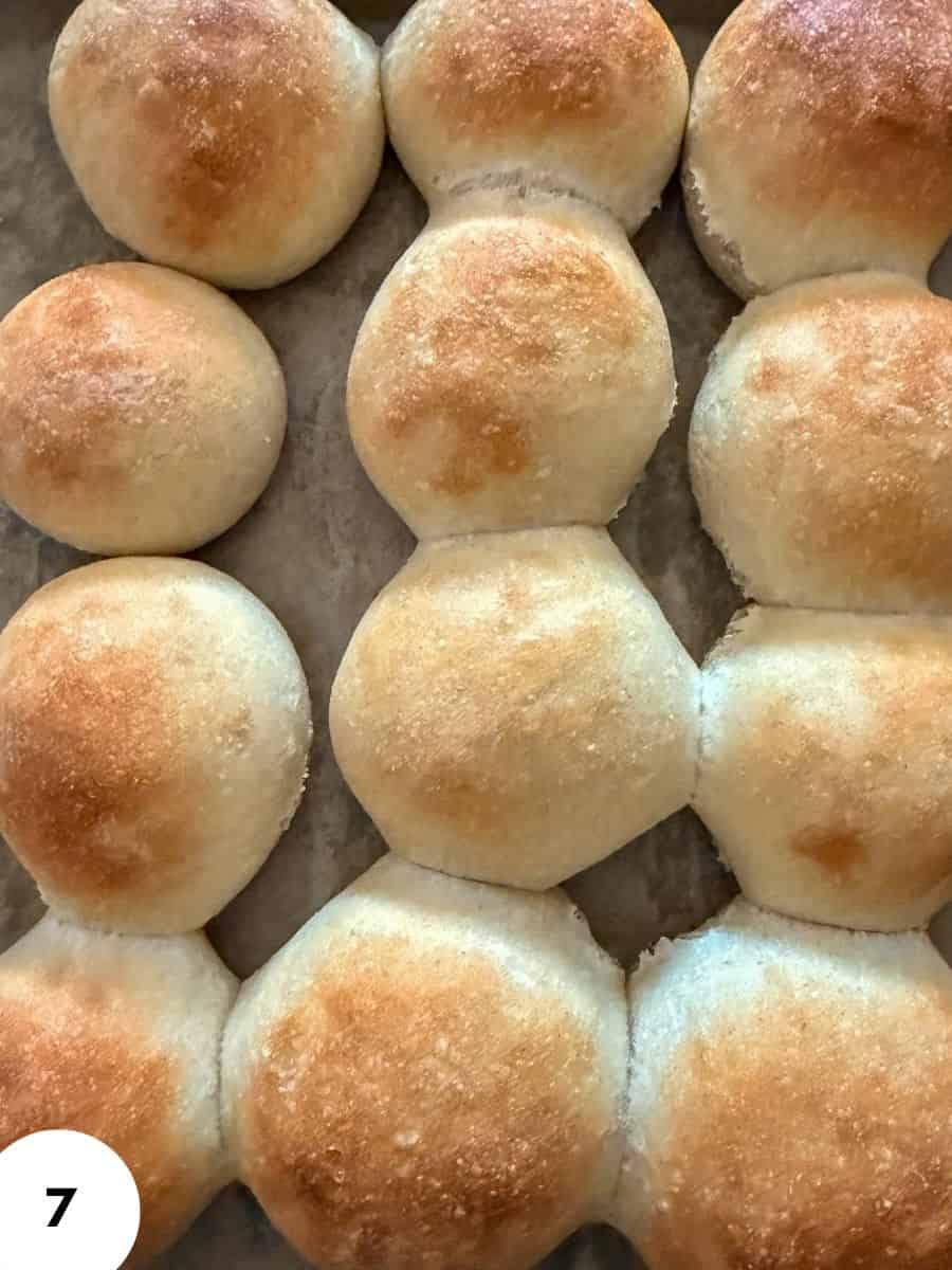 Golden-brown bread rolls freshly baked, perfect for sandwiches or snacks.
