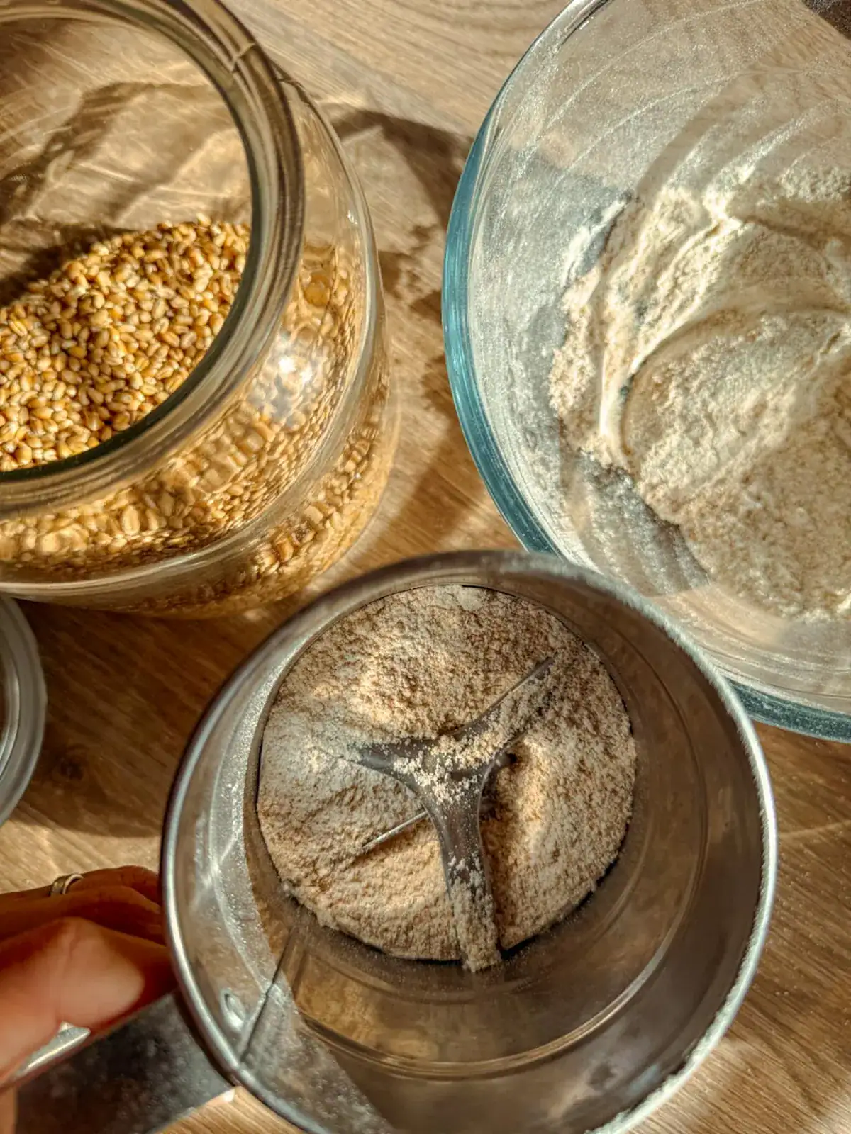 Leftover bran in a hand sifter beside a bowl of sifted fresh milled flour and a jar of wheat berries