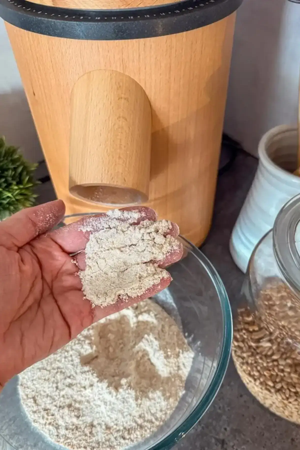 Hand holding freshly milled whole wheat flour beside a Mockmill Lino 200 grain mill.